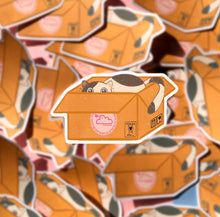 Load image into Gallery viewer, Calico Cat in Cardboard Box Sticker