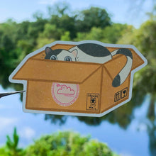 Load image into Gallery viewer, Calico Cat in Cardboard Box Sticker